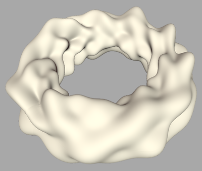 rand_warped_torus1