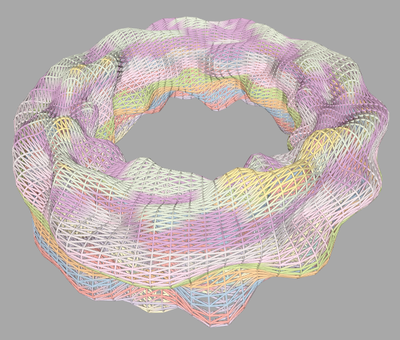 rand_warped_torus1_tube